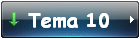Tema 10