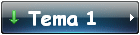 Tema 1