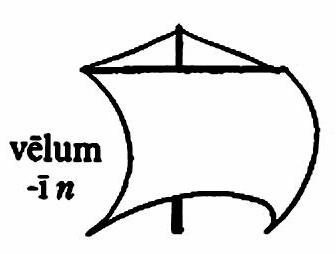 lat119-velum.jpg