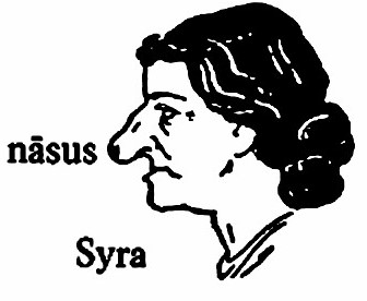 lat33-nasus.jpg
