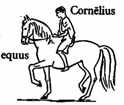 lat43-equus lat43-equus.jpg