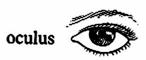 lat48-oculus lat48-oculus.jpg