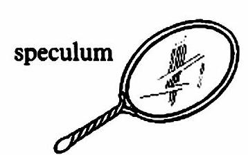 lat48-speculum lat48-speculum.jpg