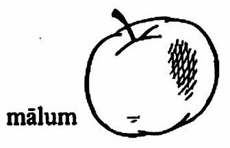 lat49-malum lat49-malum.jpg