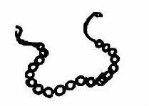 lat54-linea.jpg