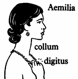 lat55-aemilia.jpg