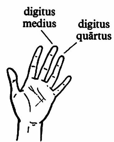 lat58-manus.jpg