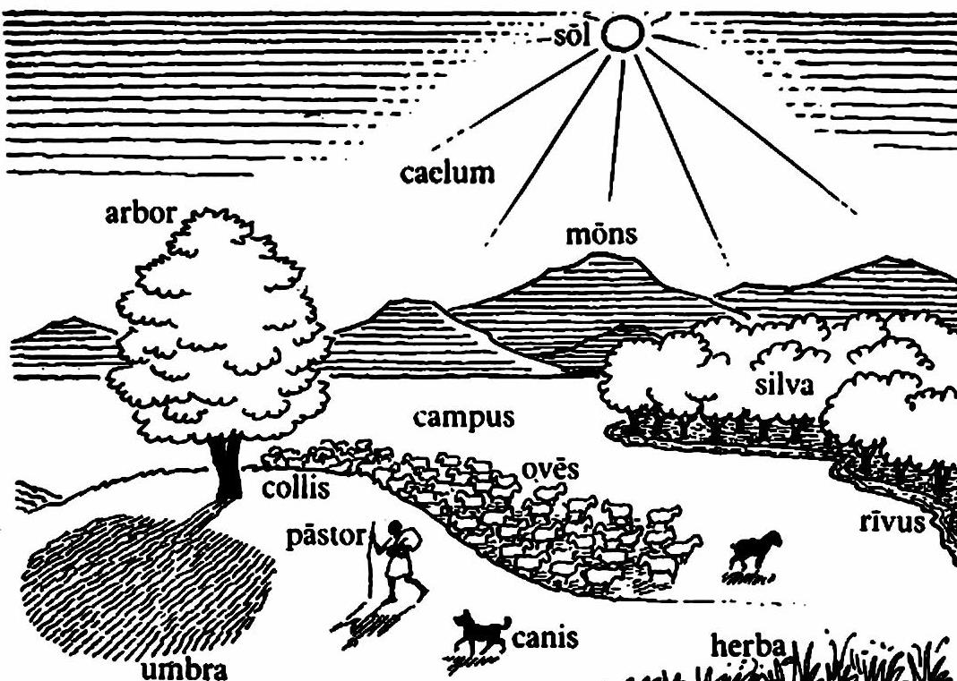 lat63-campus.jpg