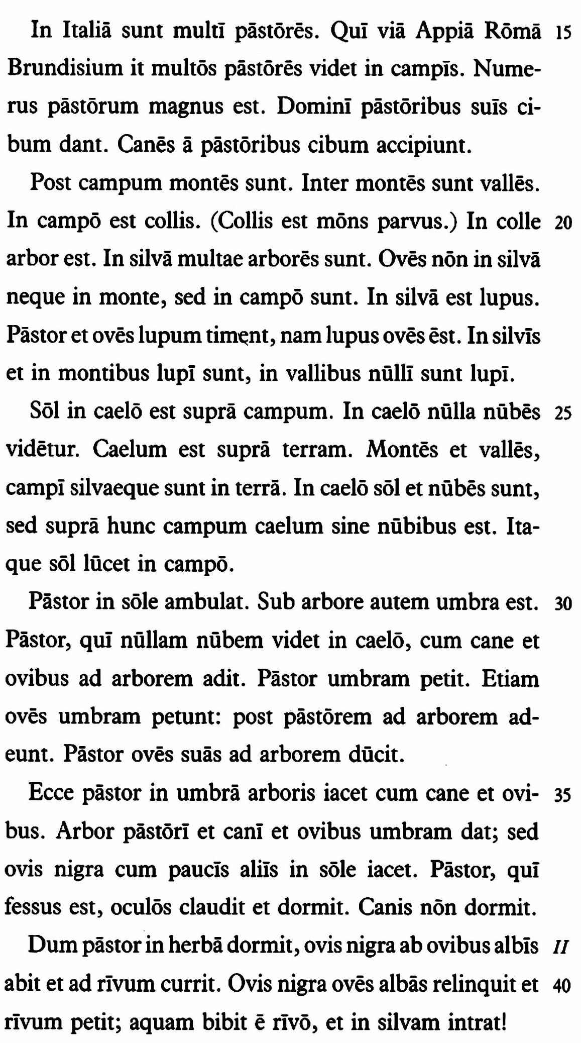 lat64-1.jpg