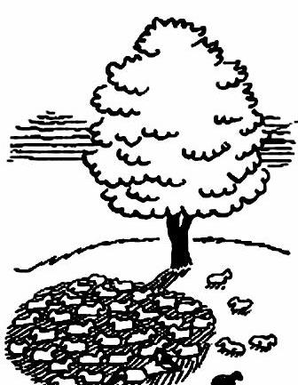 lat64-oves.jpg