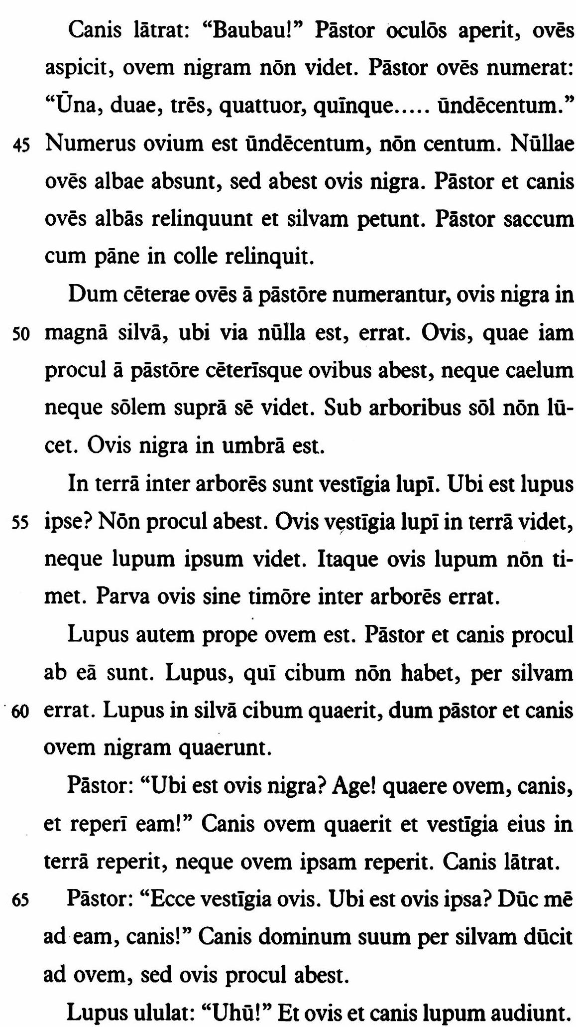 lat65-1.jpg