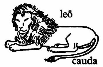 lat69-leo lat69-leo.jpg