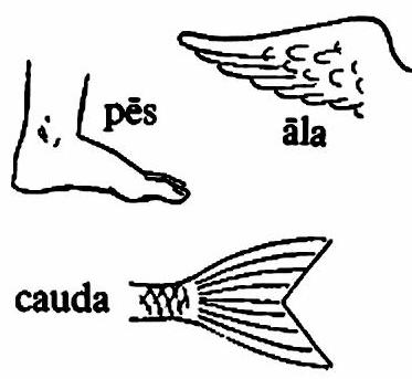 lat69-pes lat69-pes.jpg