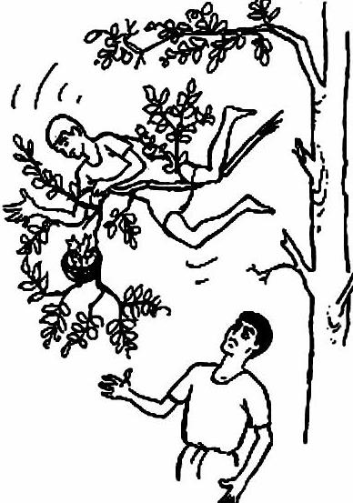 lat73-casus lat73-casus.jpg