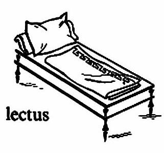lat74-lectus lat74-lectus.jpg