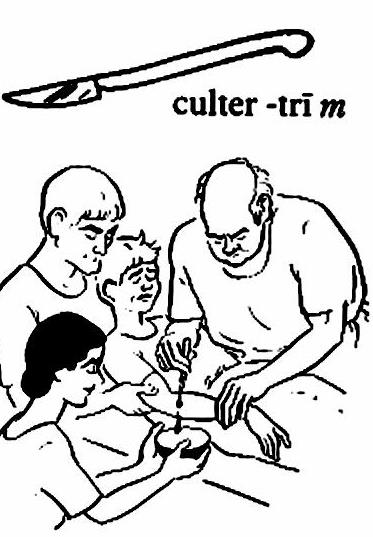 lat81-culter lat81-culter.jpg
