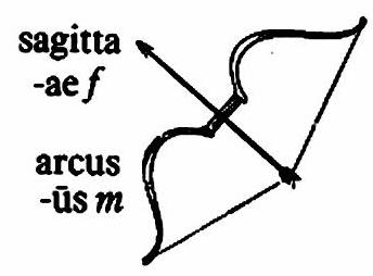 lat88-arcus lat88-arcus.jpg