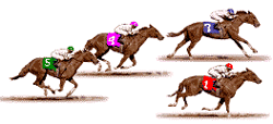 Carrera de caballos