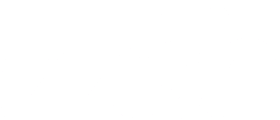 Zzish