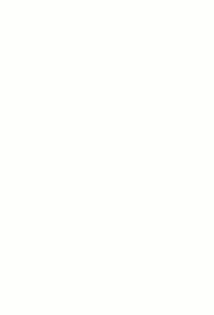 log_t2_animacion.gif